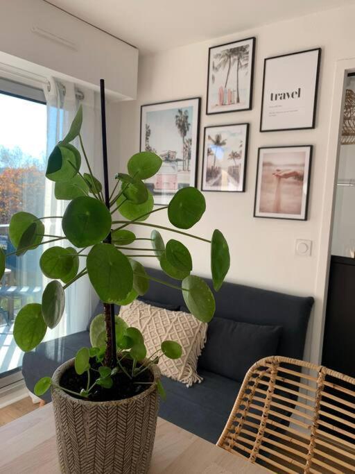 וילר-סור-מר L'Appart 204, Superbe Appartement En Residence מראה חיצוני תמונה